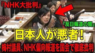 【移民問題】「日本人が悪者!_」参政党の梅村議員がNHKの反日＆偏向報道を徹底批判 国会が騒然※日本人は全員今すぐ見てください【外国人問題 _辺野古_中国問題 】