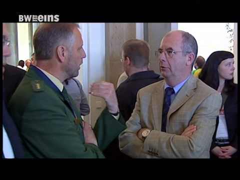 BWeins Nachrichten: Strafbefehl gegen Stumpf