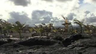 Jim Kimo West-Kohala No