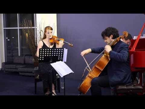 Steinway Model D-274 Concert Grand Played at Steinway Gallery Sydney