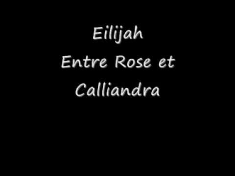 Eilijah-Entre Rose et Calliandra