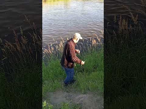 Fishing A Nursery