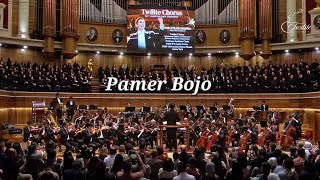 Download lagu Pamer Bojo (Didi Kempot) mp3