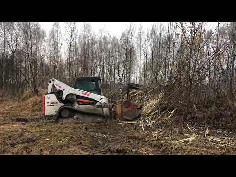 Фото Видалення порослі на обʼєкті - 4Га. Розліснення ділянки під будівництво