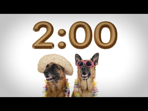 2 Minute Timer (DOG HEAVEN) 🐕