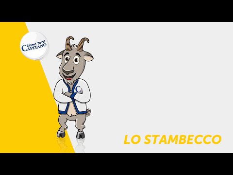 Siamo tutti Capitano - Lo Stambecco