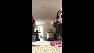 The Magpie - The Mermerings