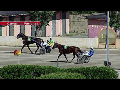 Aversa trotto 26 Settembre 2020 - 1° Corsa