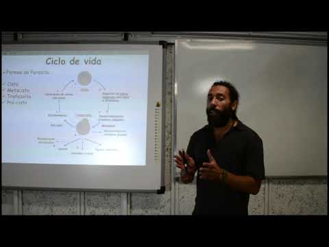 Doenças Causadas Por Parasitas:  as protozooses.