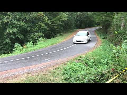 Goran Nesic / Luka Kotorcevic - 53. Serbia rally 2020 - Peugeot 106 1.3 rallye