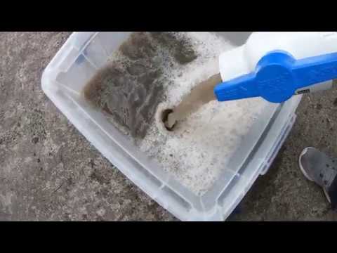 image-Can you steam clean a wool rug?