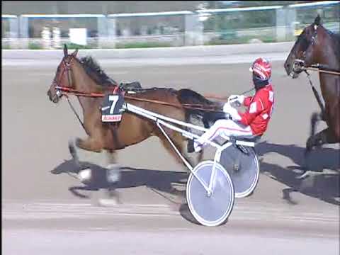 Trotto 02/03/2018 - 2ª corsa