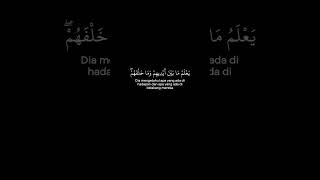 Download lagu Sheikh Saad Al Ghamdi | Ayatul Kursi mp3