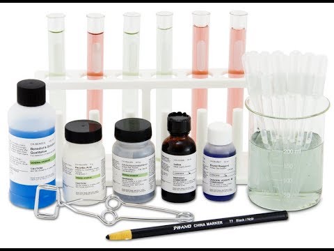 Food Tests - Iodine, Biuret, Benedict's & Ethanol