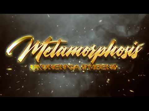 Aqualaskin - Ukunen’ga (I’mbeni) ft James Sakala (Visualizer)