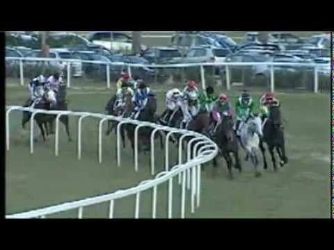 Premio Galileo Galilei 2013 (HANDICAP PRINCIPALE)