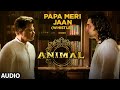 ANIMAL:Papa Meri Jaan (Whistle) |Ranbir Kapoor,Rashmika,Anil K,Bobby D|Sandeep V| Bhushan Ke