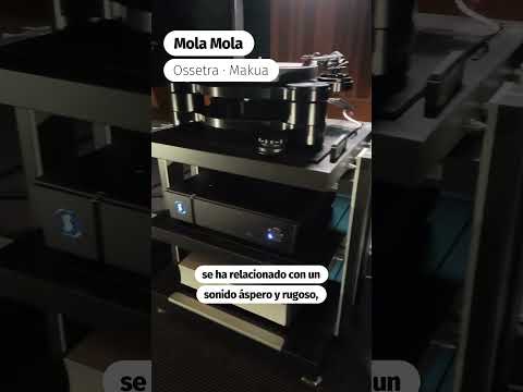 ¿Por qué la clase D estuvo tantos años mal vista?