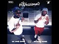 The Professionals Freestyle