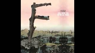 Feist - How Come You Never Go There (demo)