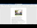 Word Module 01 Project 1a Avery University