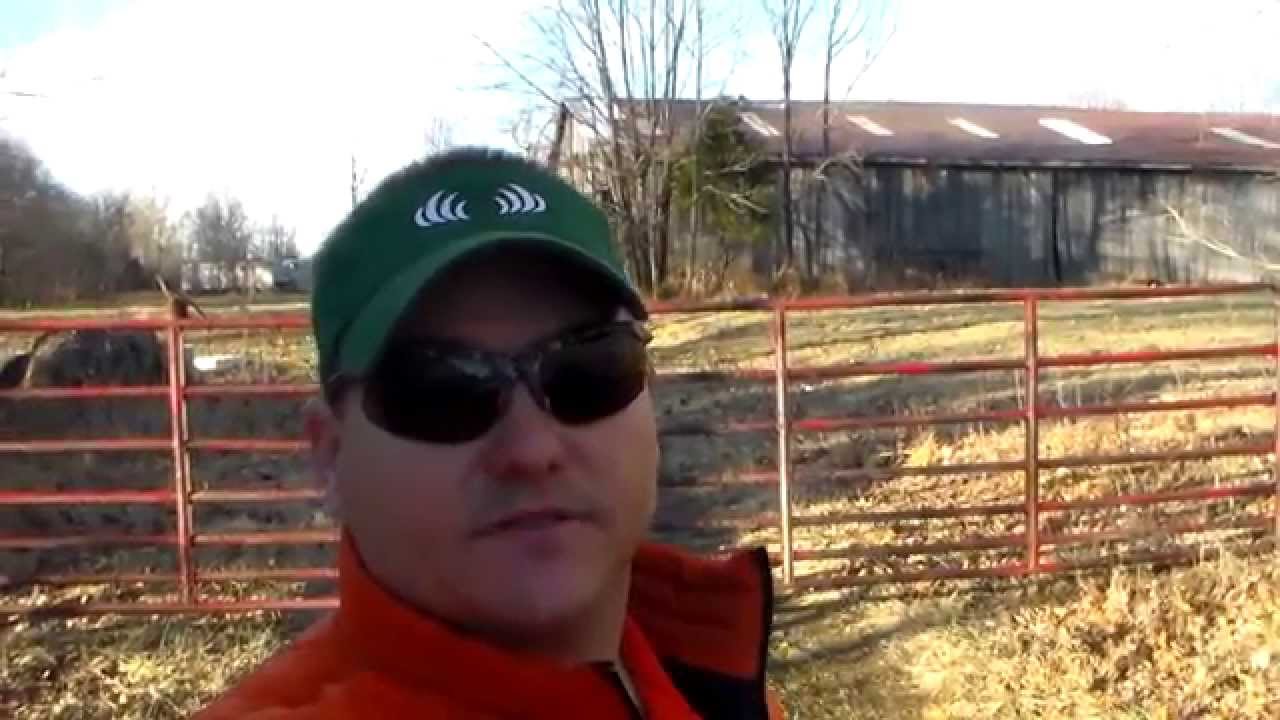 400-Acre Kentucky Hunting Lease: Expert Property Field Review