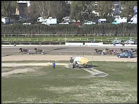 Trotto 19/02/2015 - 1° corsa