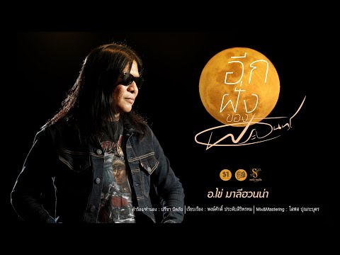 ฟีฟายแอดวาด