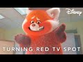 Turning Red | Coming to Cinemas | Disney UK