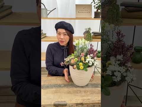 ディプラデニアに水をやる方法は？冬でもメンテナンスはどのくらい必要ですか？  庭園