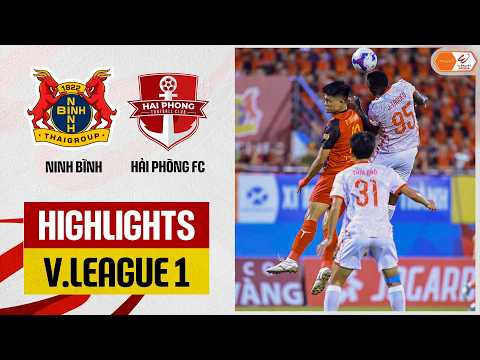 bg-highlight