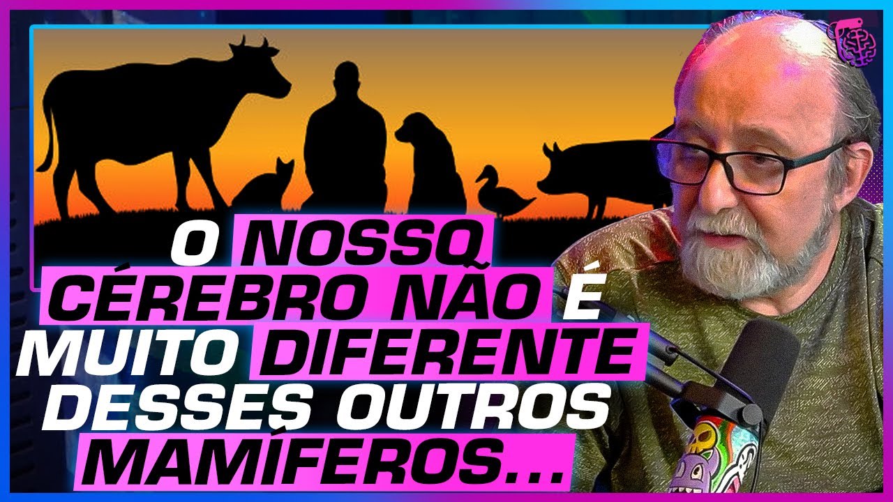 NEUROCIENTISTA CONTA NOVAS DESCOBERTAS do CÉREBRO HUMANO - MIGUEL NICOLELIS