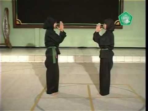 rangkaian dasar berpasangan SD