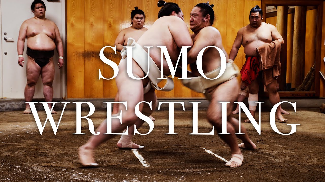 Visuals of sumo practice tour in Tokyo!