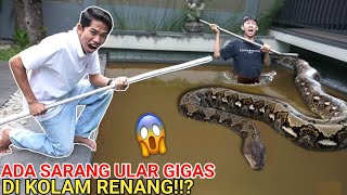 Download lagu BERB4H4YA😱SAR4NG UL4R GIGAS SUDAH MULAI MENYEBAR SAMPE KEKOLAM RENANG?? | Mikael TubeHD mp3 Download lagu BERB4H4YA😱SAR4NG UL4R GIGAS SUDAH MULAI MENYEBAR SAMPE KEKOLAM RENANG?? | Mikael TubeHD mp3