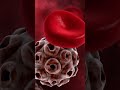 Prednisone Explained #steroids #medicine #health #inflammation #autoimmune