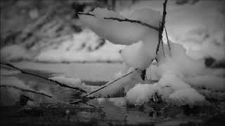 Sopor Aeternus - Consider this: The true meaning of love (Lyric video)