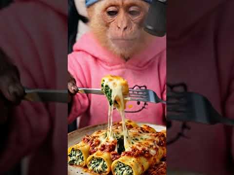 MONO KIBO comiendo CANELONES de ARGENTINA 🇦🇷 ASMR Cremoso (Experiencia Deliciosa)