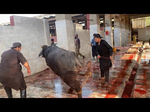 Slaughter House work | cutting skills