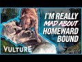 How Did The Cat From Homeward Bound Survive Mad About It