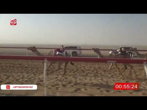  ش 25 (المسك) لـ منصور سالم مبارك بن زعيتر العامري 2:11 ، شارة الصندوق 2026/05/30 فطامين الروضة