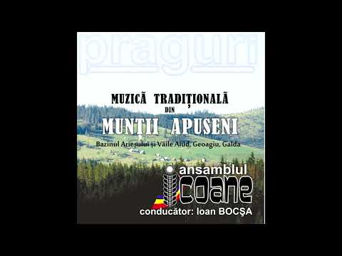 Ansamblul ICOANE – Vai, Ioane, dragu mneu; Izvoarele, Livezile, ALBA