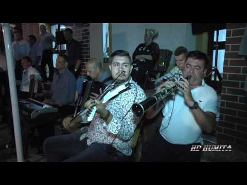 PETRICA VITA & COSTEL PITIGOI JOC DE DOI NUNTA ADI & MIHAELA ARMENIS 2016