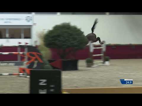 ULTIMO 138 (Uriko x Colman x Coronado) 2014