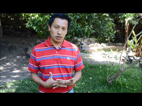 Grow an Indigenous Youths' Beekeeping Cooperative