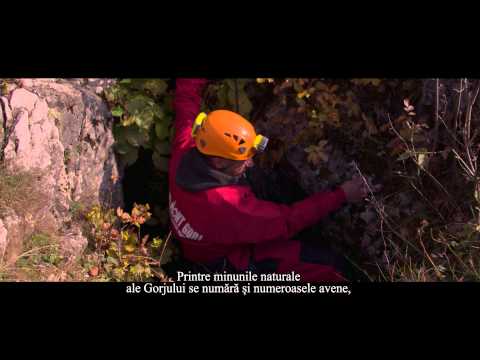 Film Prezentare Gorj