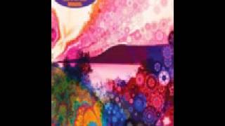 Chris Robinson Brotherhood - Shore Power