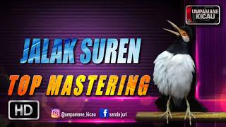 Download lagu MASTERING MURAI BATU || burung jalak suren mp3 Download lagu MASTERING MURAI BATU || burung jalak suren mp3