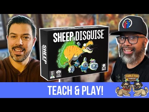 Sheep in Disguise Teach & Play