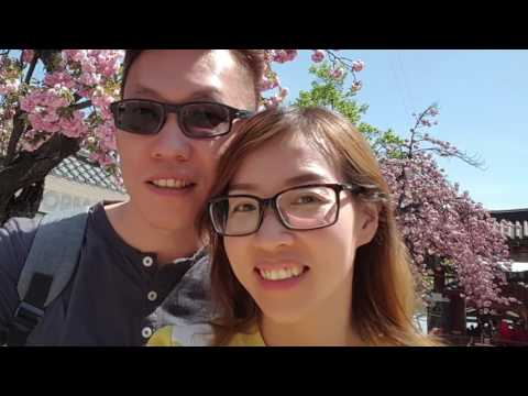 Steve & Lisa 2017 korea trip everytime i see you exo chen punch